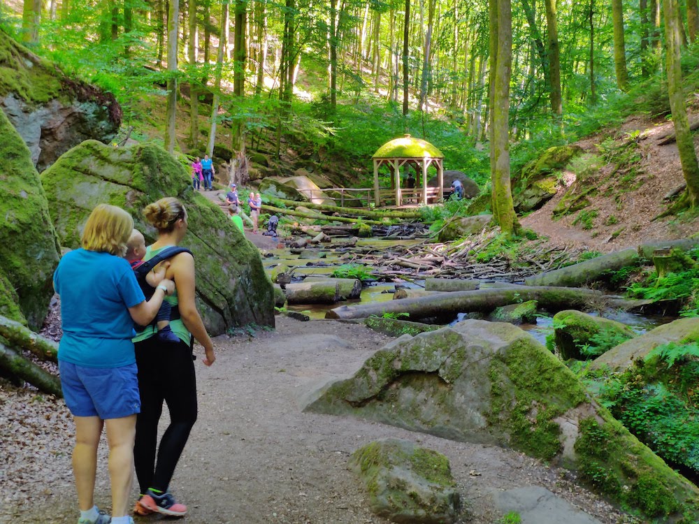 Hiking train next to a small stream