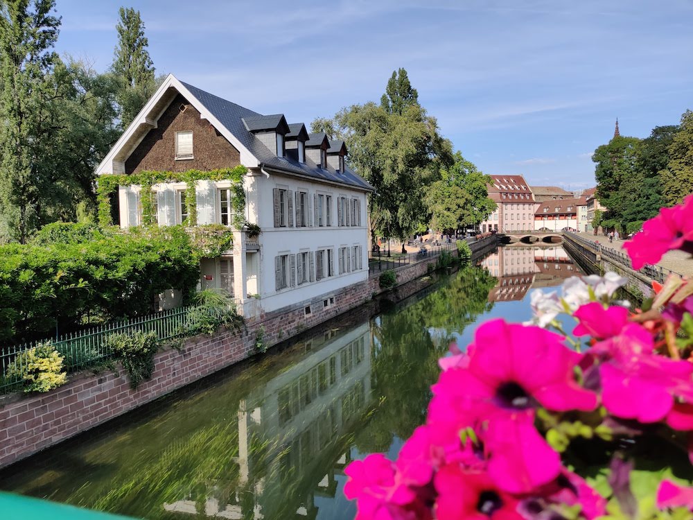 Canal framed with pink flowers